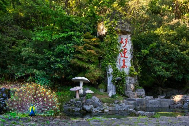 您一起“趣”登山 “杏”会大慈岩！瓦力游戏试玩跟着赛事游建德！本周邀(图2)