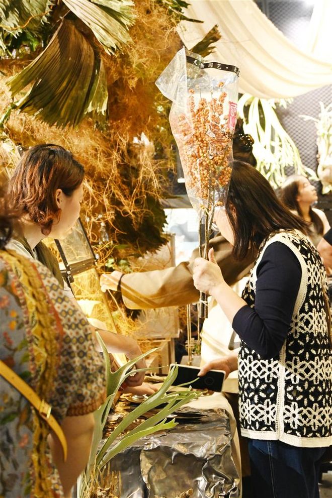 典藏款”鹿角蕨最高标价100万元瓦力棋牌锡城刮起“热植风” “(图3)